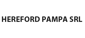 Hereford Pampa
